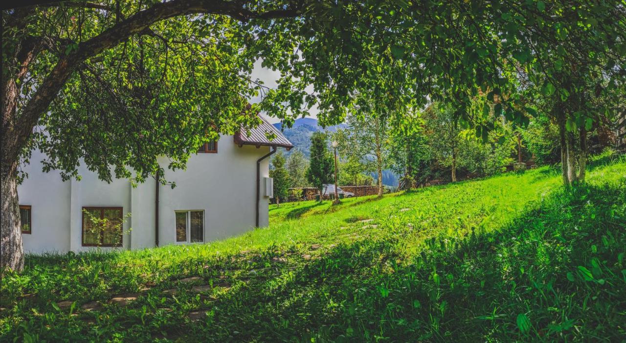 12 Months Estate Guest House Myslovka Exterior foto